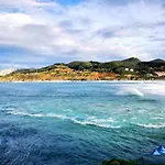 Bonito Ebi-82 Daire Mundaka