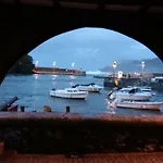 Bonito Ebi-82 Daire Mundaka